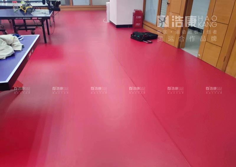 深圳龙岗海关乒乓球室